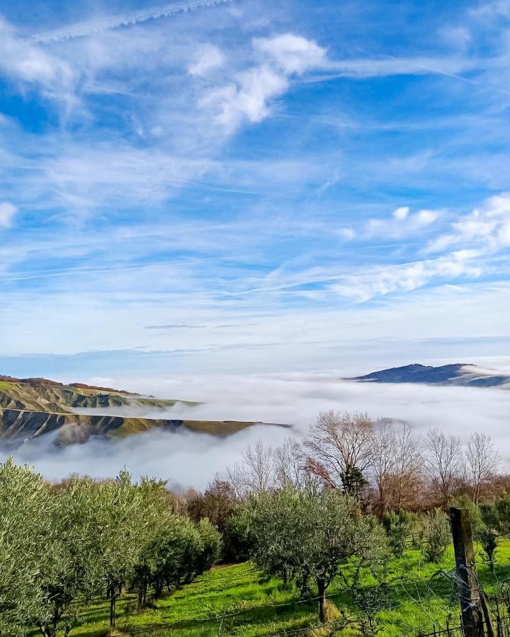 La Luna Sul Trebbio Modigliana Bagian luar foto